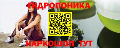 гашик Малоярославец