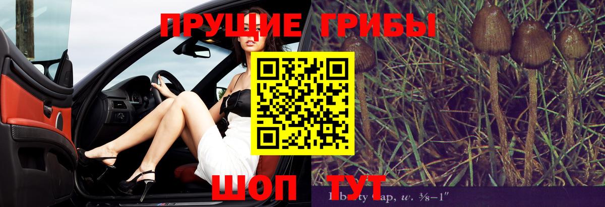 Южноуральск  Псилоцибиновые грибы Magic Shrooms  Вход с VPN 